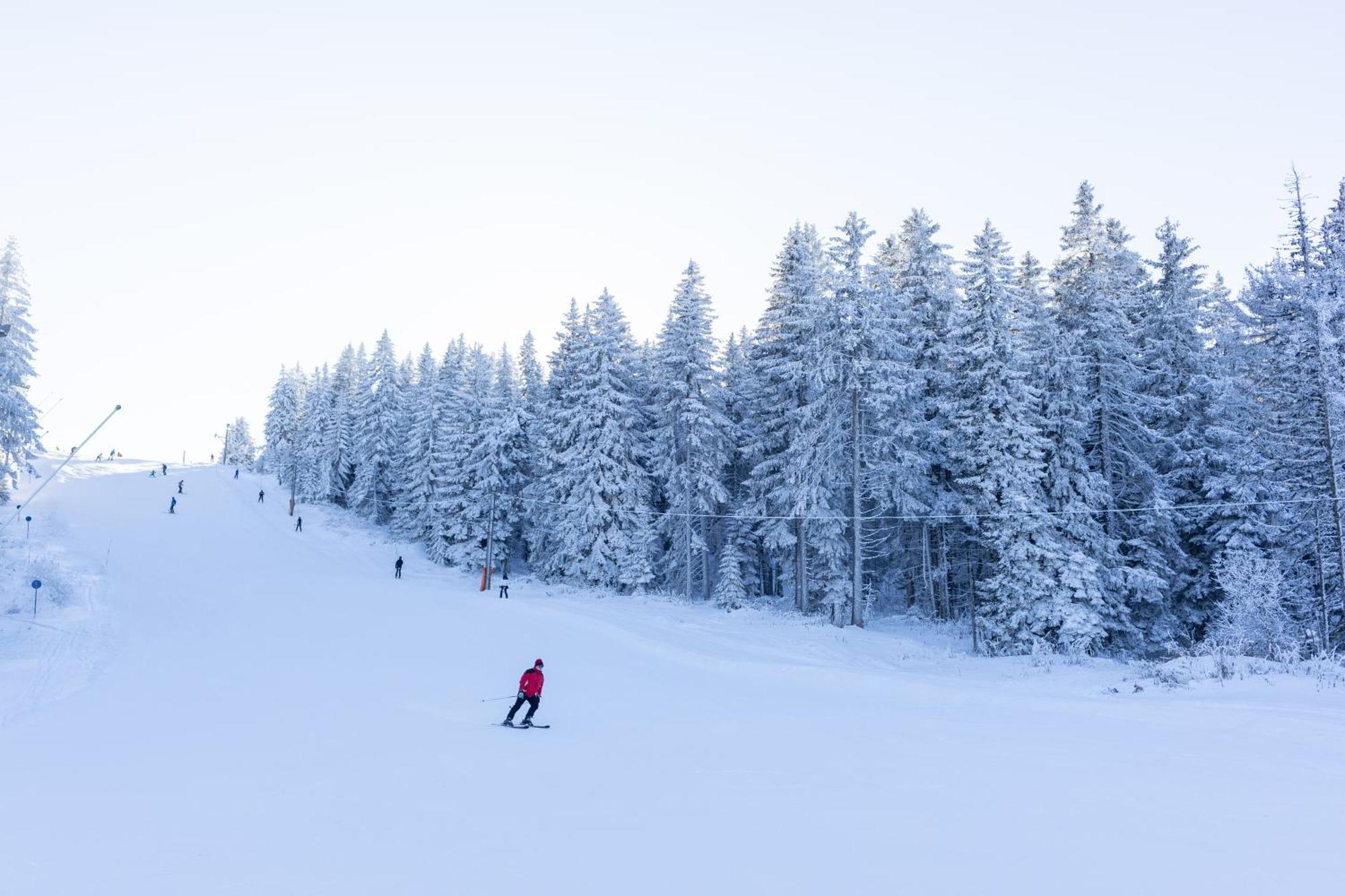 Planinske Vile M&S Kopaonik Luaran gambar